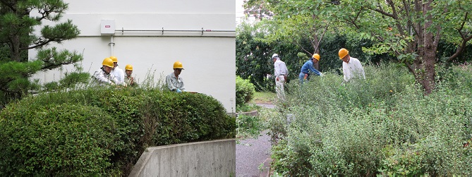植木の手入れ講習1