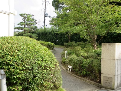植木の手入れ講習2