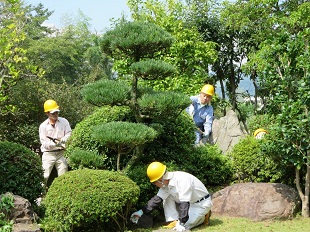 植木の手入れ講習4