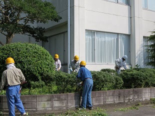 植木の手入れ講習5