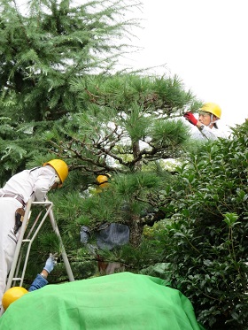 植木の手入れ講習7