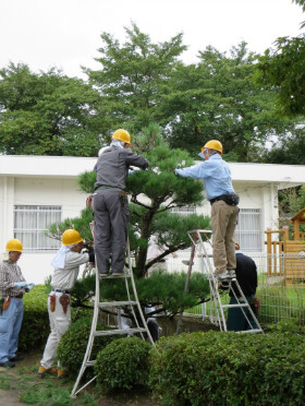 植木の手入れ講習9