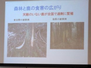 吉野の鹿肉2